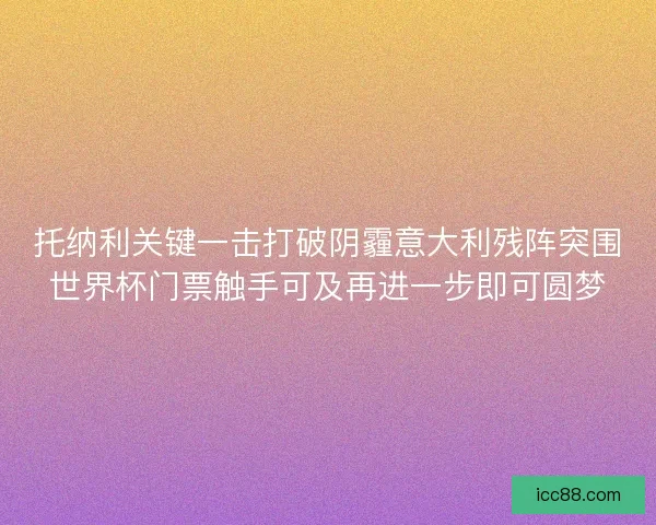 托纳利关键一击打破阴霾意大利残阵突围世界杯门票触手可及再进一步即可圆梦